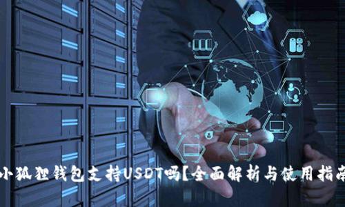 小狐狸钱包支持USDT吗?全面解析与使用指南