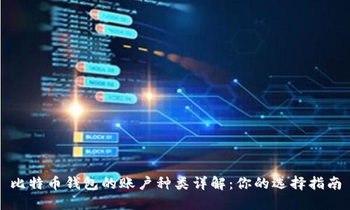 比特币钱包的账户种类详解：你的选择指南