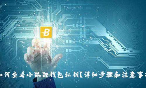如何查看小狐狸钱包私钥?详细步骤和注意事项