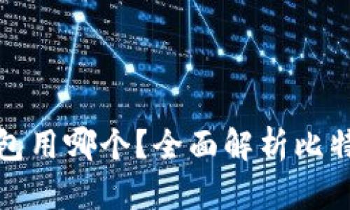 存放比特币钱包用哪个?全面解析比特币钱包的选择