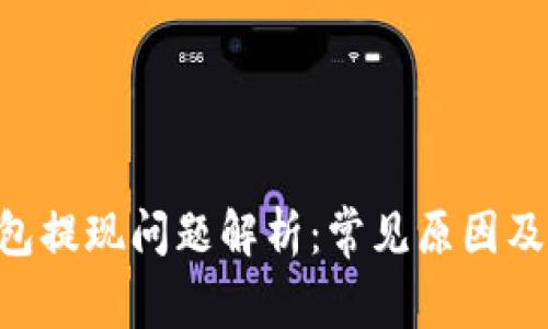 Token钱包提现问题解析:常见原因及解决方法