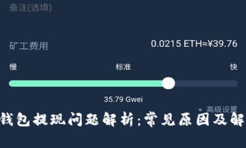Token钱包提现问题解析:常见原因及解决方法