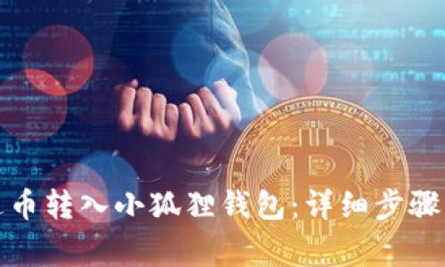 如何将雷达币转入小狐狸钱包:详细步骤与注意事项