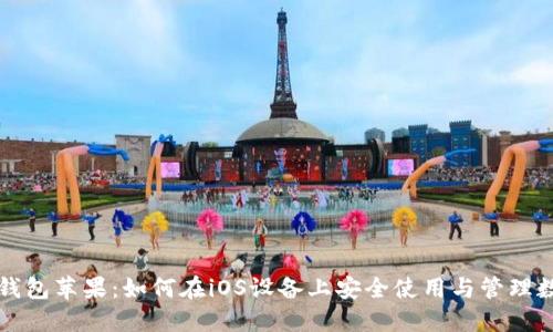 小狐狸钱包苹果:如何在iOS设备上安全使用与管理数字资产