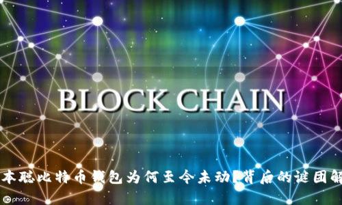中本聪比特币钱包为何至今未动?背后的谜团解析