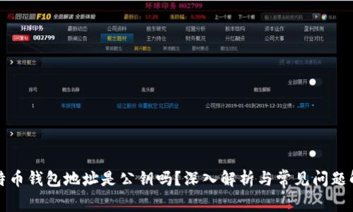 比特币钱包地址是公钥吗?深入解析与常见问题解答