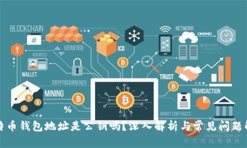 比特币钱包地址是公钥吗?深入解析与常见问题解答
