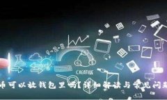 狗狗币可以放钱包里吗？