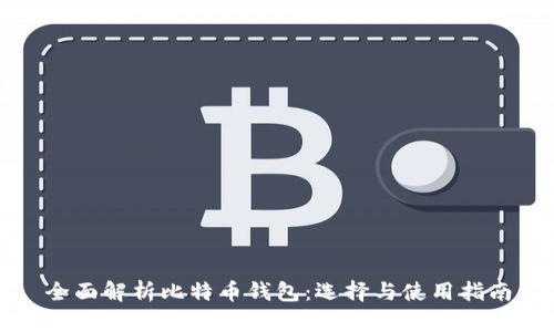 全面解析比特币钱包:选择与使用指南