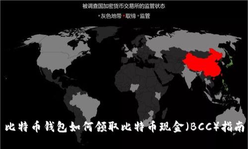 比特币钱包如何领取比特币现金（BCC）指南