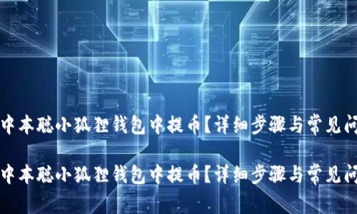 如何在中本聪小狐狸钱包中提币?详细步骤与常见问题解答
如何在中本聪小狐狸钱包中提币?详细步骤与常见问题解答