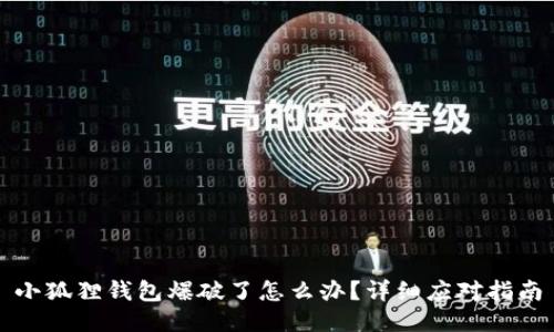 小狐狸钱包爆破了怎么办？详细应对指南