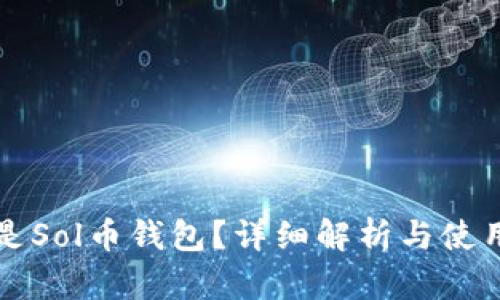 什么是Sol币钱包?详细解析与使用指南