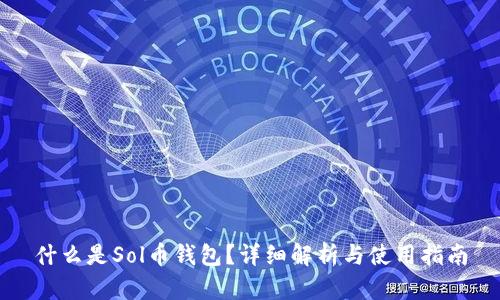 什么是Sol币钱包?详细解析与使用指南