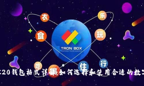 USDT-ERC20钱包格式详解：如何选择和使用合适的数字货币钱包