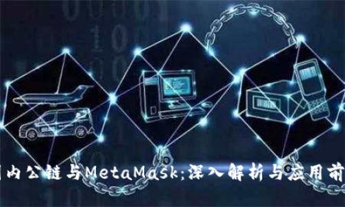 国内公链与MetaMask:深入解析与应用前景