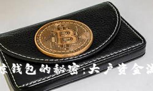 揭秘比特币巨鲸钱包的秘密：大户资金流向与市场影响