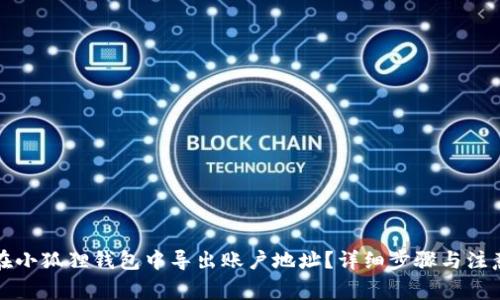 如何在小狐狸钱包中导出账户地址?详细步骤与注意事项