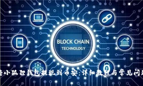 如何将小狐狸钱包提现到币安:详细教程与常见问题解答