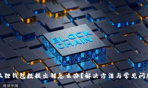 : 小狐狸钱包数据出错怎么办？解决方法与常见问题解析