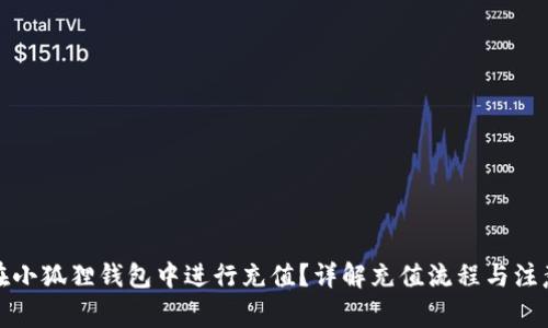 如何在小狐狸钱包中进行充值?详解充值流程与注意事项