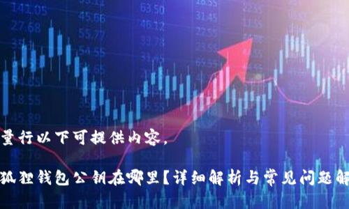 矢量行以下可提供内容。

小狐狸钱包公钥在哪里？详细解析与常见问题解答