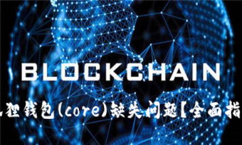 如何解决小狐狸钱包(core)缺失问题?全面指南与解决方案