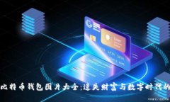 早期比特币钱包图片大全