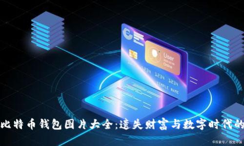 早期比特币钱包图片大全：遗失财富与数字时代的见证