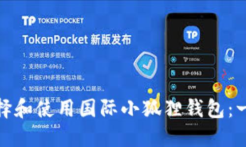 : 如何选择和使用国际小狐狸钱包:一站式指南