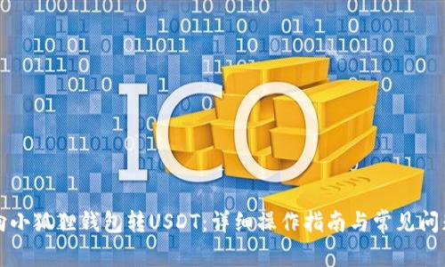 如何向小狐狸钱包转USDT：详细操作指南与常见问题解析
