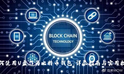 如何使用U盘作为比特币钱包:详尽指南与实用技巧