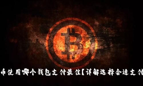 泰达币使用哪个钱包支付最佳？详解选择合适支付钱包