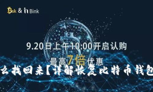 比特币钱包怎么找回来?详解恢复比特币钱包的步骤和技巧