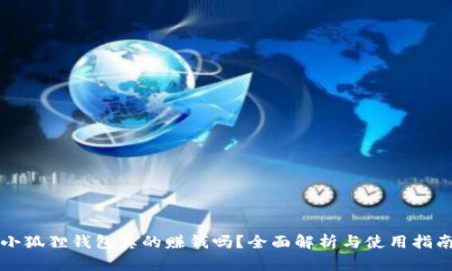 小狐狸钱包真的赚钱吗?全面解析与使用指南