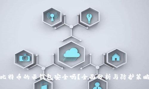比特币的云钱包安全吗?全面分析与防护策略
