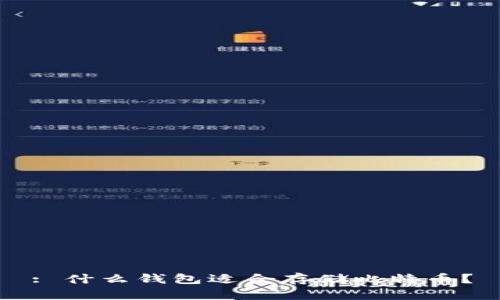 : 什么钱包适合存储比特币？