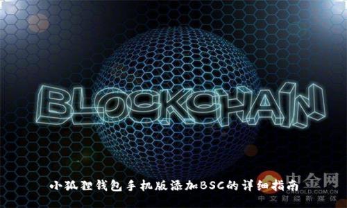 小狐狸钱包手机版添加BSC的详细指南