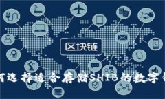如何选择适合存储SHIB的数