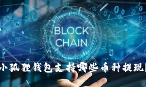 小狐狸钱包支持哪些币种提现？