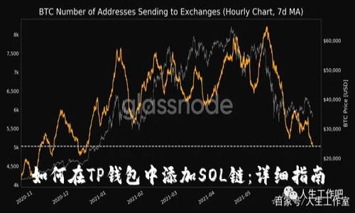 如何在TP钱包中添加SOL链：详细指南