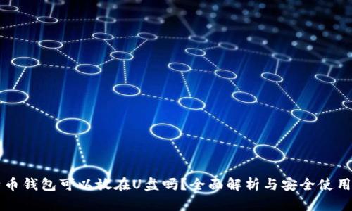 比特币钱包可以放在U盘吗?全面解析与安全使用指南