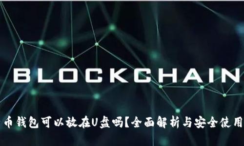 比特币钱包可以放在U盘吗?全面解析与安全使用指南