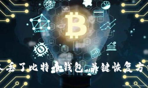 成都人丢了比特币钱包,关键恢复方法分享
