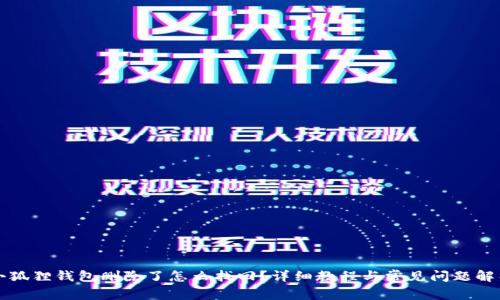 小狐狸钱包删除了怎么找回？详细教程与常见问题解析