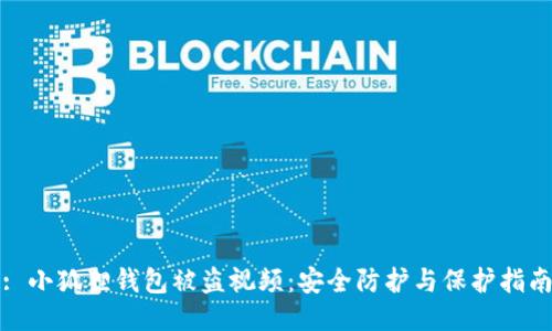 : 小狐狸钱包被盗视频：安全防护与保护指南
