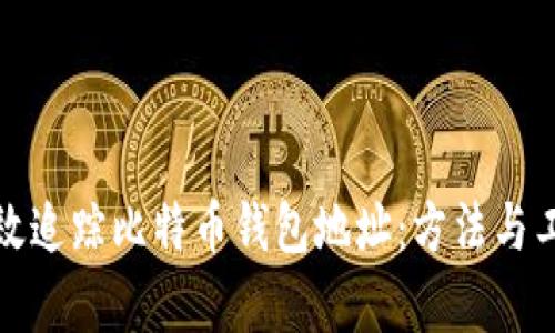 如何有效追踪比特币钱包地址:方法与工具详解