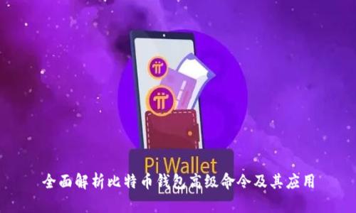 全面解析比特币钱包高级命令及其应用