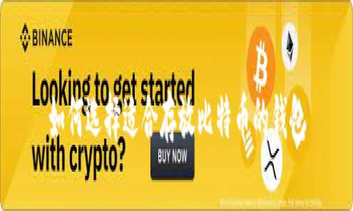 如何选择适合存放比特币的钱包