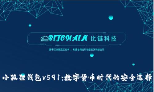 小狐狸钱包v591:数字货币时代的安全选择